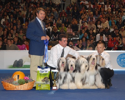 Of still river - Budapest ( Hongrie ) NATIONALE & EURODOG SHOW