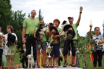 Of still river - Agility: Vainqueur du Trophée par équipe 2011