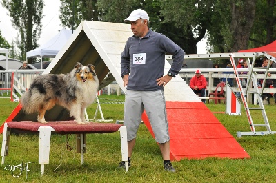 Agility: Championnat de France (Auch)